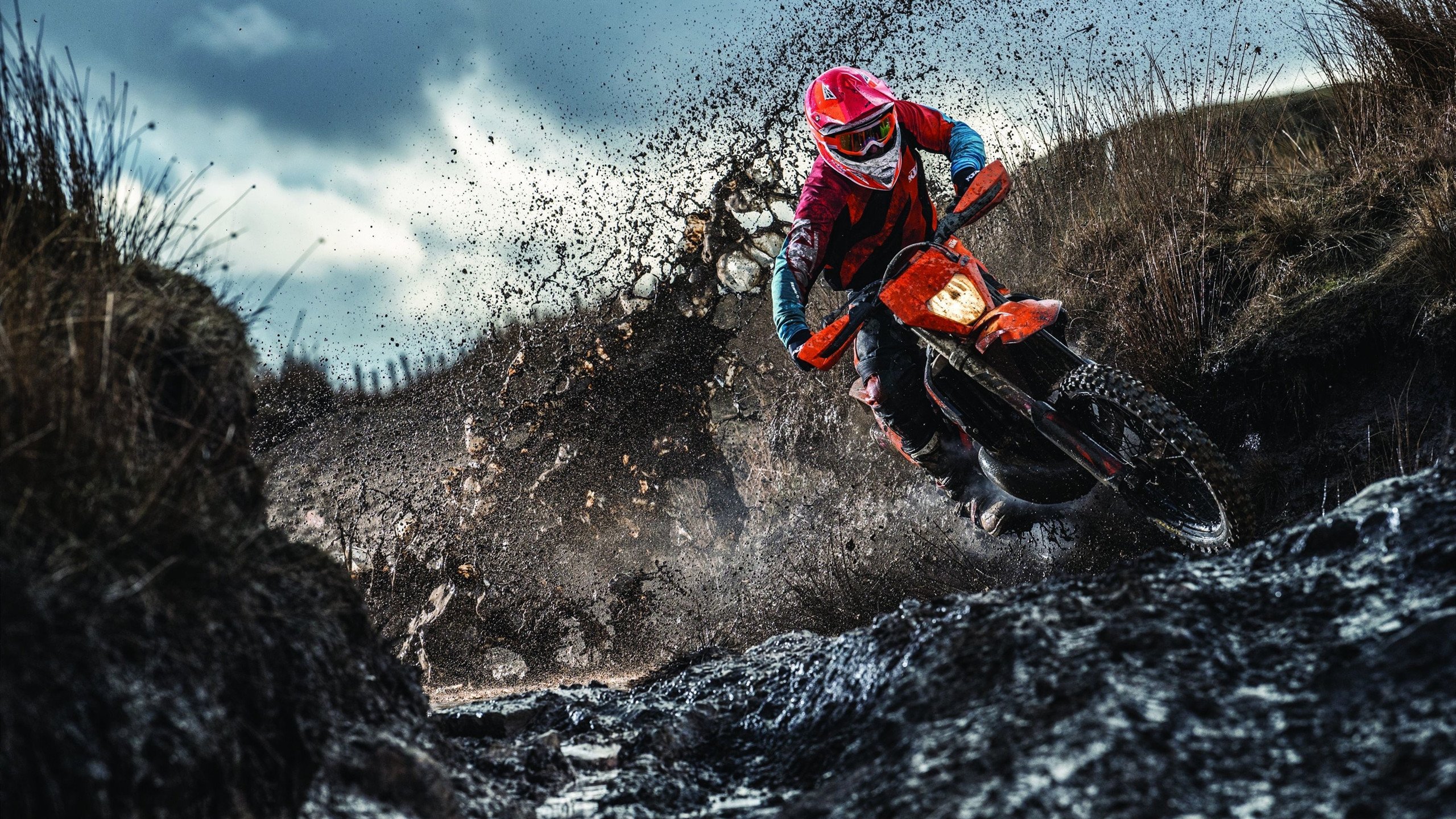 高校运动员心理调节干预，运动员的心理辅导